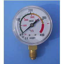 YJF-R-04 pressure gauge