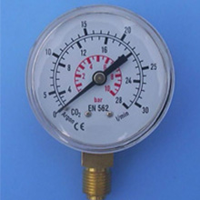 YJF-R-12 pressure gauge